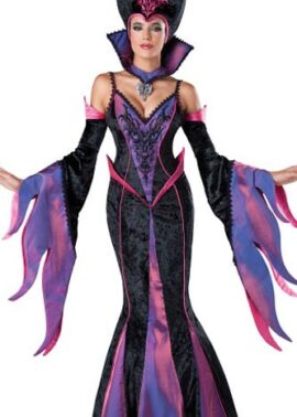 תחפושת יוקרתית של מכשפה מהאגדות L15494